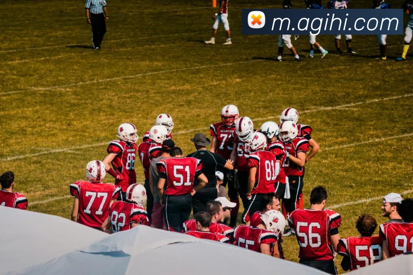 App Interface Preview